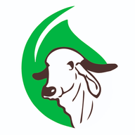 Gosatvam Brand Logo Watermark